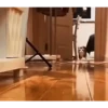 Gatos FoFoS 12