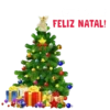 FELIZ NATAL | BOAS FESTAS 12