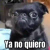 🎬 Memes en movimiento 😂 11