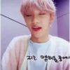 Lee Felix Stray Kids 11