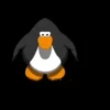 Préndelo pingüino bailando 🐧🎶 15