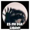 🎶Pedro, Pedro🦝Mapache🎶 9
