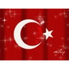 Atatürk 10