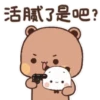 Dudu bubu 7