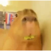Shitpost 14