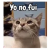 Yo no fui