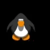 Préndelo pingüino bailando 🐧🎶 17