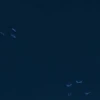 🧿kpop Demon Hunters🎶🎧 14