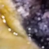 Monos Videos 2 17