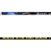 Khichdi 12