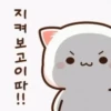Mochi cat 2.0 6