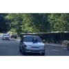 Hasbulla 22