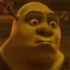 Shrek Animado 💚 5