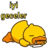 İyi Geceler-4🌙 10