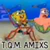 T.Q.M. AMIXS