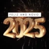 Novo Ano 15