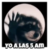 🎶Pedro, Pedro🦝Mapache🎶 15