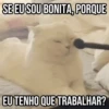 GIFs Pets Fofos Memes 🐾 27