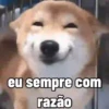 Aleatorias engraçadas 2