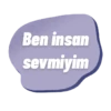 Kurtlar vadisi 29