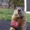 😄 Memes Random Tiktok 😄 15