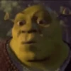 Shrek Animado 💚 12