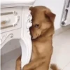 GIFs Reações Aleatórias 7 🤗 11