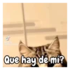Tik Tok @cute_animalsb Que hay de mi?