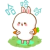 Molly Rabbit - Cutie 10 10