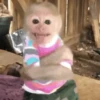 एनिमेटेड नन्हे बंदर 🐵 8
