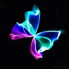 MARIPOSAS ANIMADAS 7