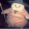 🐱 Cheeseball | The Wizard Cat 14