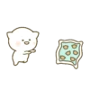Randomcillos 13