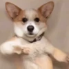 🎵 TIKTOKeando 17🎵 25