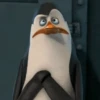Madagascar GIFs 8