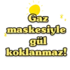 Kurtlar vadisi 27