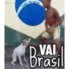 🇧🇷💛Brasil💚🇧🇷 8