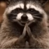 Guaxinim Fofo GIFs 🦝 19