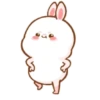Molly Rabbit - Cutie 10 6
