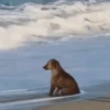 Necessary GIFs 27