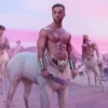 Puntería Shakira Cardi B 6
