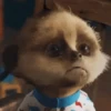 🥲🪾😭 TRISTE | SAD 2 🥲🪾😭 21