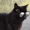 Funny Action Reaction 17