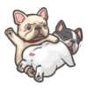 Angry's Animal 12