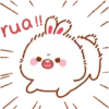 Lovely Tuji 1 5
