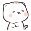 Cat Chan 7