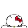 Hello kitty 21