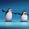 Préndelo pingüino bailando 🐧🎶 11
