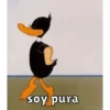 Patolino sincero  8