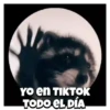 🎶Pedro, Pedro🦝Mapache🎶 5